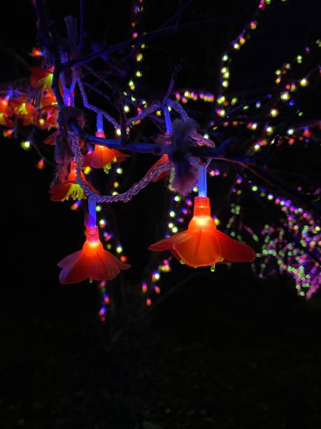 Kommersiellt projekt 3